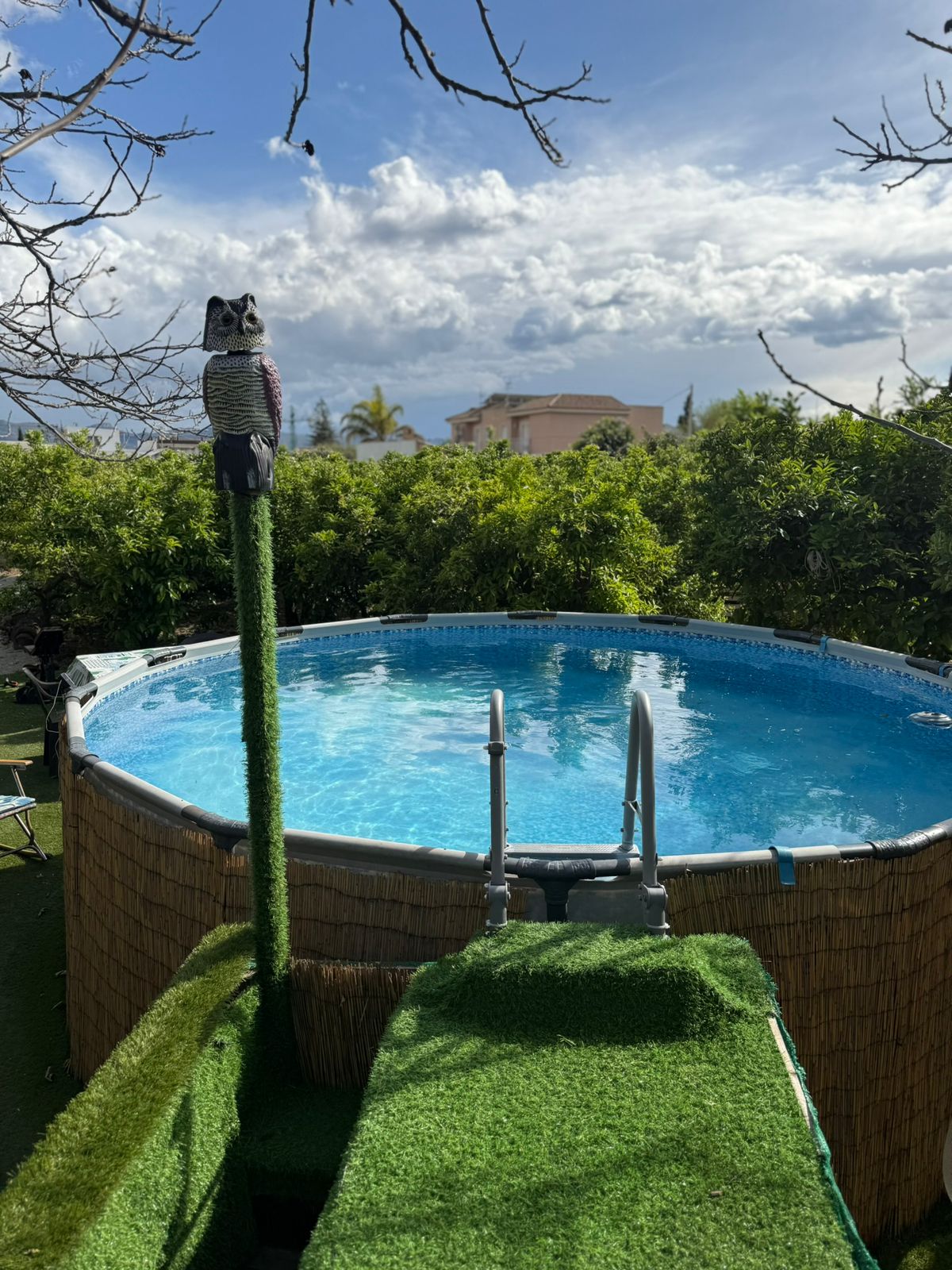 Piscina entre naranjos 3